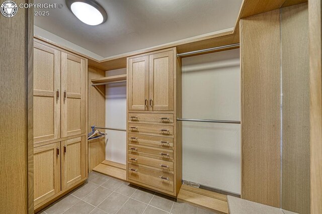 750 Roundup Rd, Westcliffe, CO 81252 - walk in closet featuring light tile patterned flooring