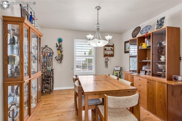 159 Blue Grouse Dr, Canon City, CO 81212 - photo 8