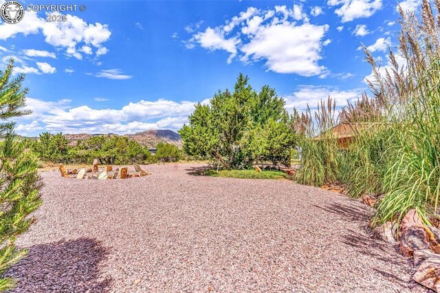 159 Blue Grouse Dr, Canon City, CO 81212 - photo 31