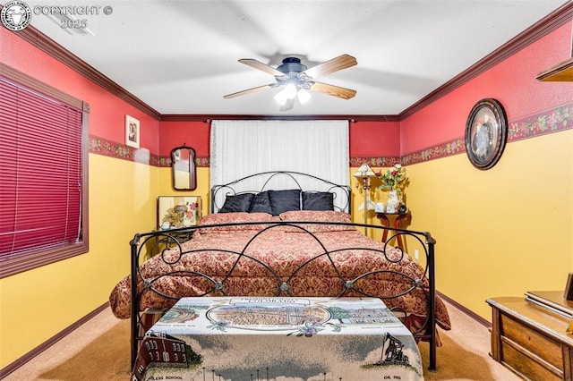 159 Blue Grouse Dr, Canon City, CO 81212 - photo 17
