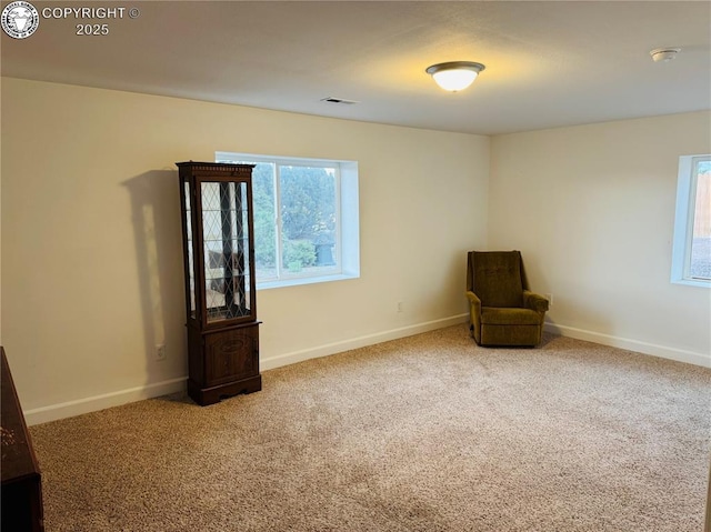 60 Wild Rose Dr, Canon City, CO 81212 - photo 34