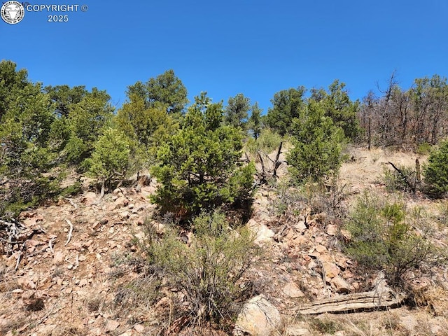 1105 Owens Ln, Texas Creek CO, 81223 land for sale