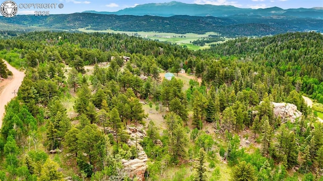 94 County Road 403, Florissant, CO 80816