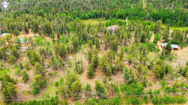 94 County Road 403, Florissant, CO 80816
