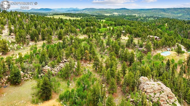 94 County Road 403, Florissant, CO 80816
