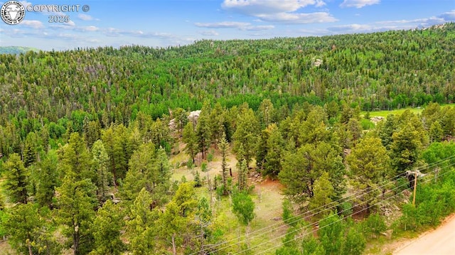 94 County Road 403, Florissant, CO 80816