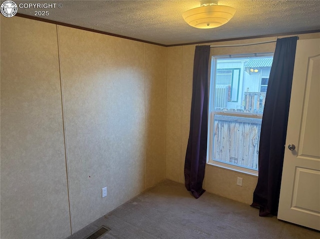 carpeted spare room with a textured ceiling