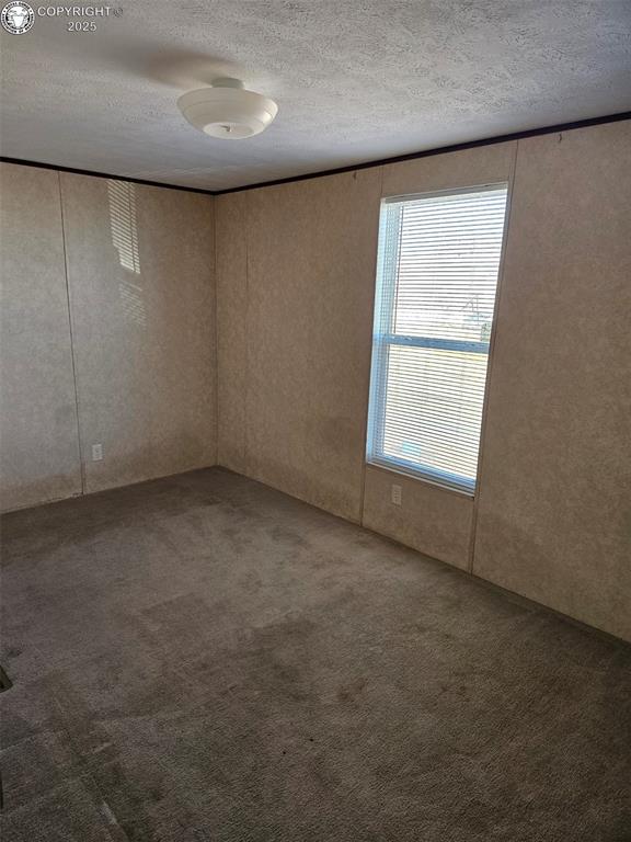 empty room with carpet floors and a textured ceiling