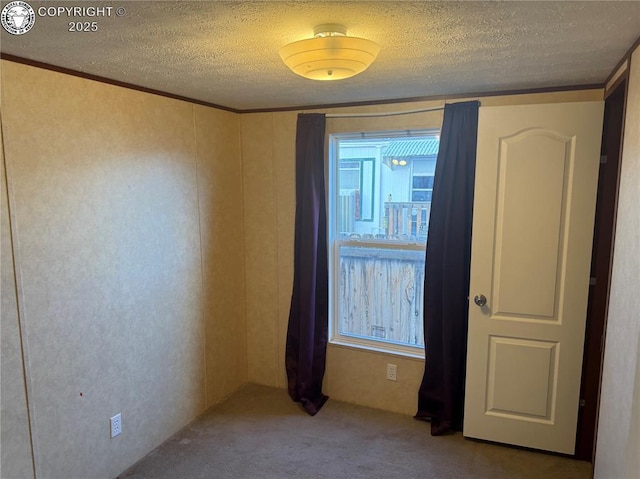 empty room with crown molding, light carpet, and a textured ceiling