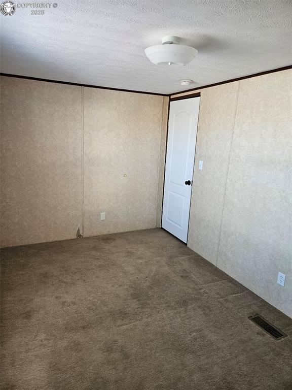 carpeted empty room featuring a textured ceiling