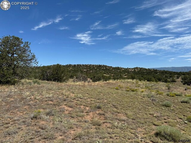 LOT11 County Road 550, Gardner, CO 81040 - photo 23
