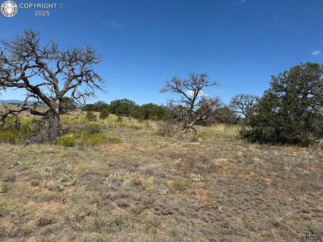 LOT11 County Road 550, Gardner, CO 81040 - photo 22