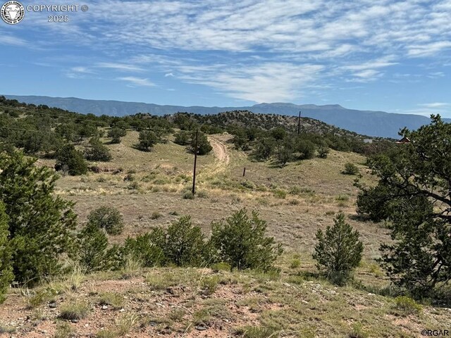 LOT11 County Road 550, Gardner, CO 81040 - photo 24