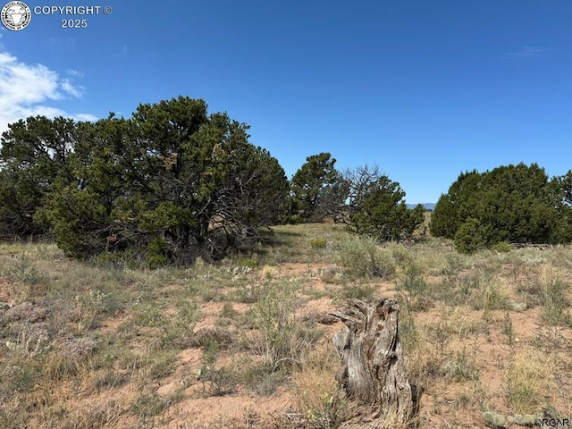 LOT11 County Road 550, Gardner, CO 81040 - photo 19
