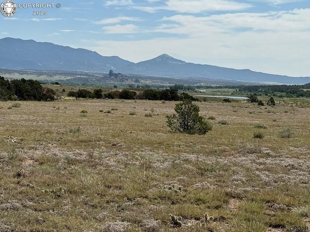 LOT11 County Road 550, Gardner, CO 81040 - photo 36