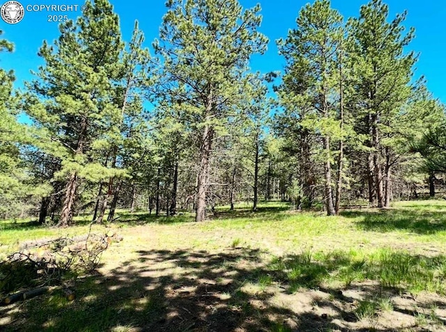 1150 Cottonwood Rd, Canon City CO, 81212 land for sale