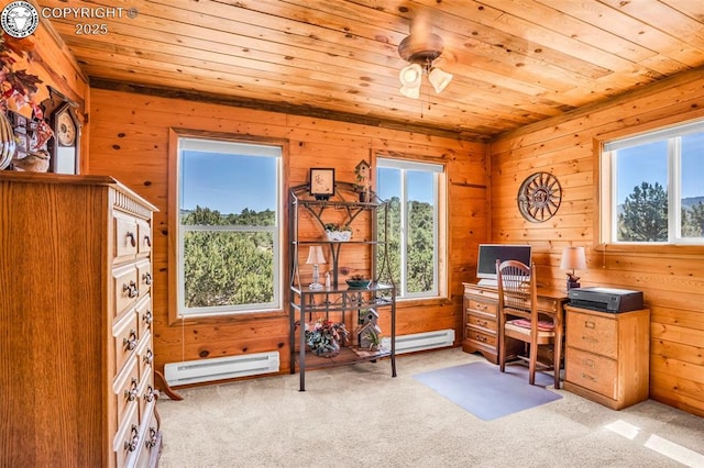 451 Thunder Trl, Canon City, CO 81212 - photo 31