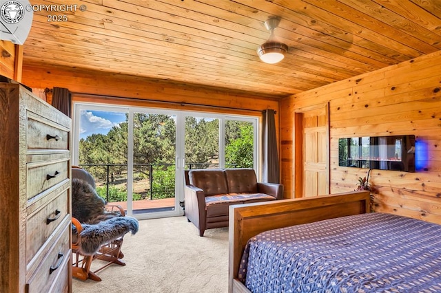 451 Thunder Trl, Canon City, CO 81212 - photo 21