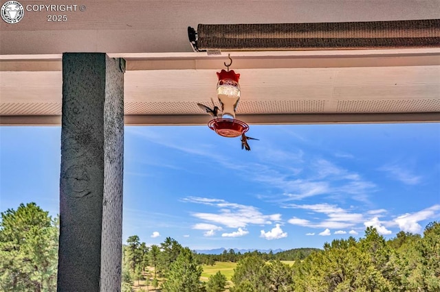 451 Thunder Trl, Canon City, CO 81212 - photo 8