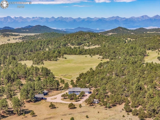 451 Thunder Trl, Canon City, CO 81212 - photo 50