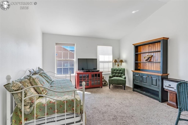 interior space featuring carpet flooring and lofted ceiling