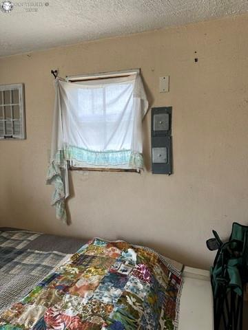 40 Vista Dr, Westcliffe, CO 81253 - bedroom with electric panel and a textured ceiling