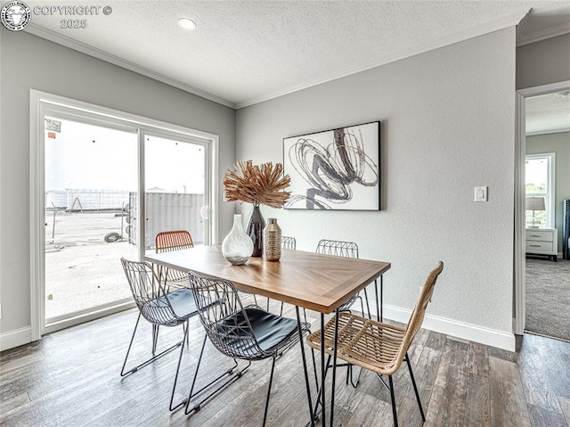 dining area with crown molding, a textured ceiling, and hardwood / wood-style flooring