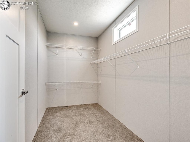 spacious closet with light carpet