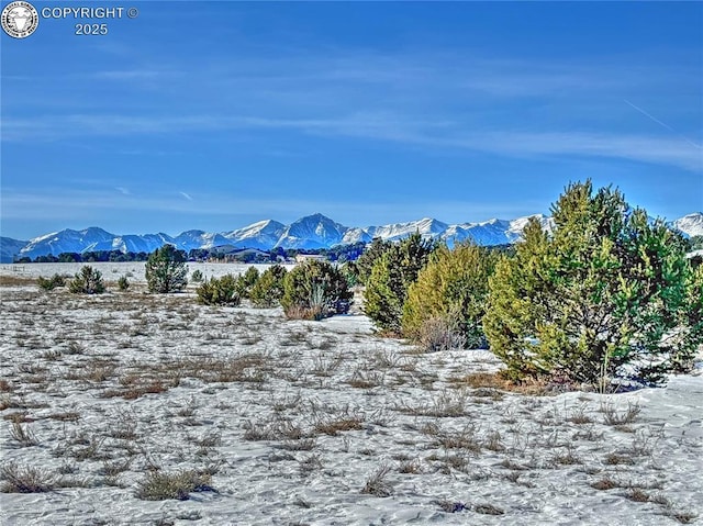 205 Wild Bill Blvd, Westcliffe CO, 81252 land for sale