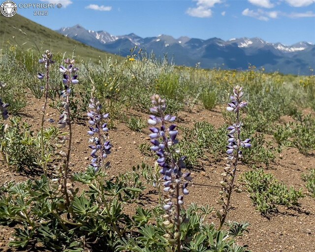 TBDLOT33 County Road 251, Westcliffe, CO 81252