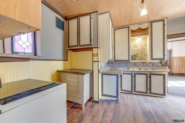 kitchen with sink, dark wood-type flooring, and range