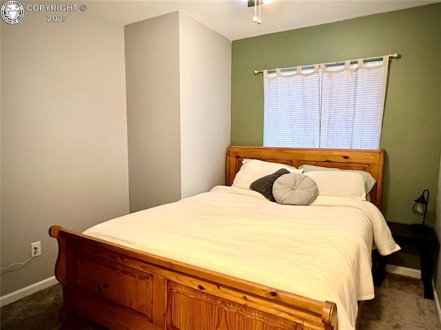 204 Indian Hills Rd, Florence, CO 81226 - bedroom featuring dark carpet