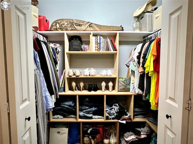 204 Indian Hills Rd, Florence, CO 81226 - view of walk in closet