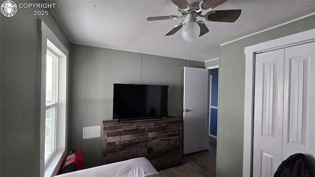 bedroom featuring ceiling fan, dark hardwood / wood-style floors, a textured ceiling, and a closet