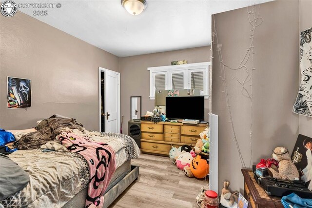 bedroom featuring light hardwood / wood-style floors