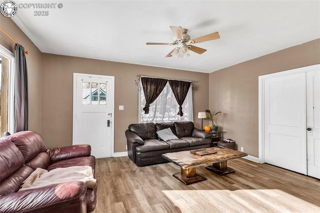 living room with ceiling fan and light hardwood / wood-style flooring