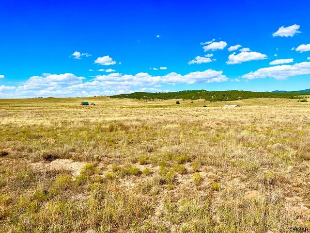 LOT11 County Road 310, Westcliffe, CO 81252