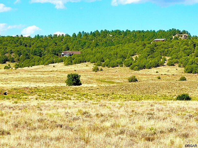 LOT11 County Road 310, Westcliffe, CO 81252
