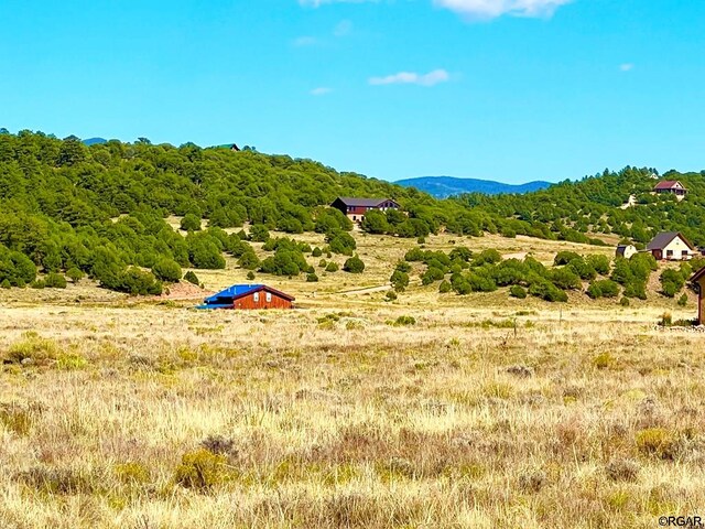 LOT11 County Road 310, Westcliffe, CO 81252