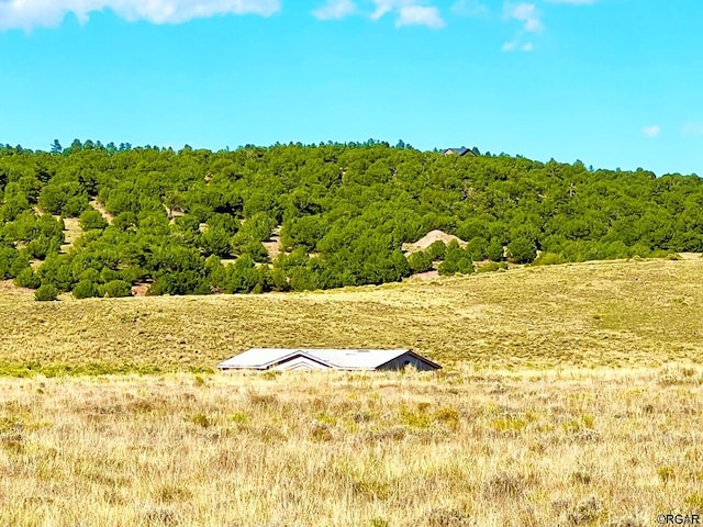 LOT11 County Road 310, Westcliffe, CO 81252