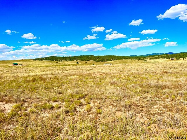 LOT11 County Road 310, Westcliffe, CO 81252