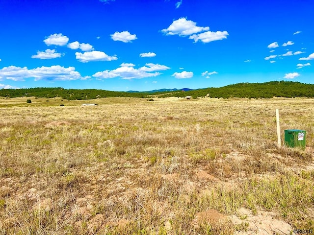 LOT11 County Road 310, Westcliffe, CO 81252