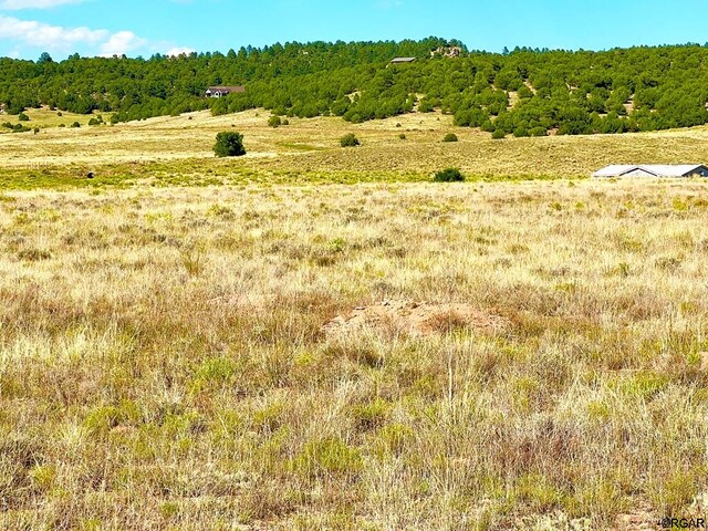 LOT11 County Road 310, Westcliffe, CO 81252