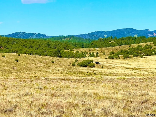 LOT11 County Road 310, Westcliffe, CO 81252