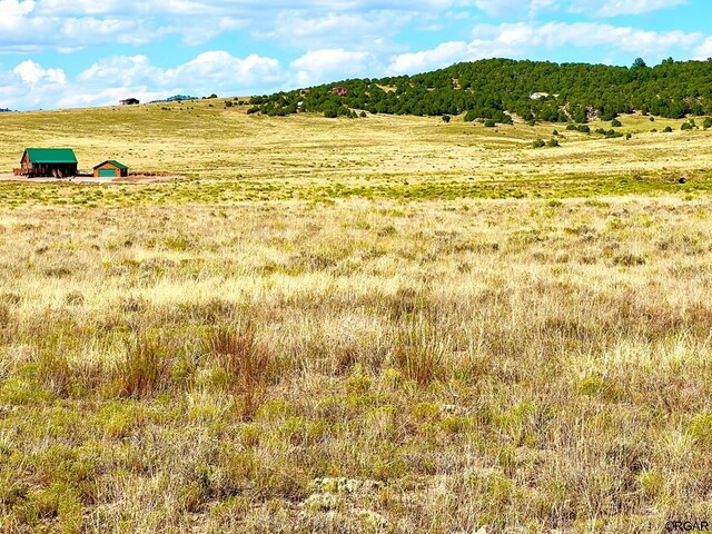 LOT11 County Road 310, Westcliffe, CO 81252