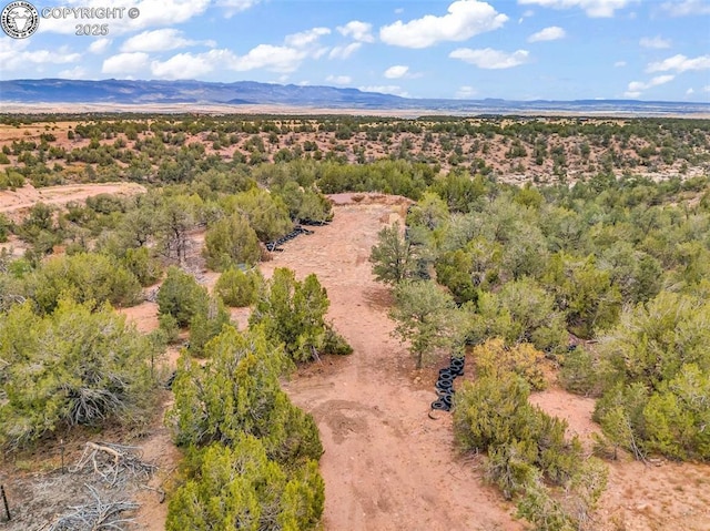 birds eye view of property with a mountain view