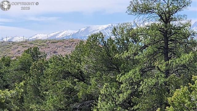 TBDL 20th Trail, Cotopaxi, CO 81223