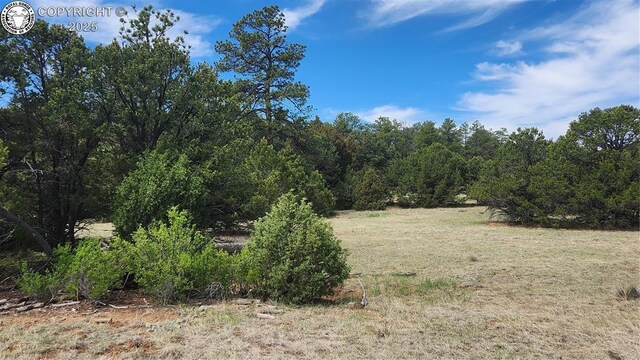 TBDL 20th Trail, Cotopaxi, CO 81223