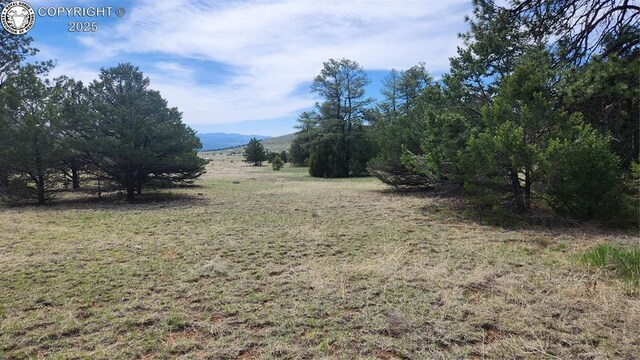 TBDL 20th Trail, Cotopaxi, CO 81223