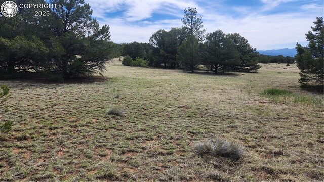 TBDL 20th Trail, Cotopaxi, CO 81223